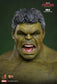 Hot Toys MMS905 - Marvel Comics - Spider Man : Brand New Day - Hulk【Pre-Order】