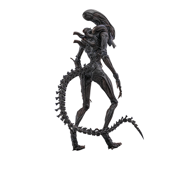 Hot Toys MMS784 - Alien : Romulus - Scorched Xenomorph【Pre-Order】