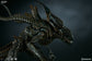 Sideshow 200333 - Alien - Alien King