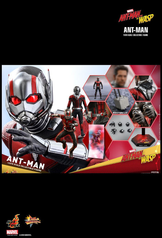 Hot Toys MMS497 - Marvel Comics - Ant-Man 2 : Ant-Man And The Wasp - Ant-Man