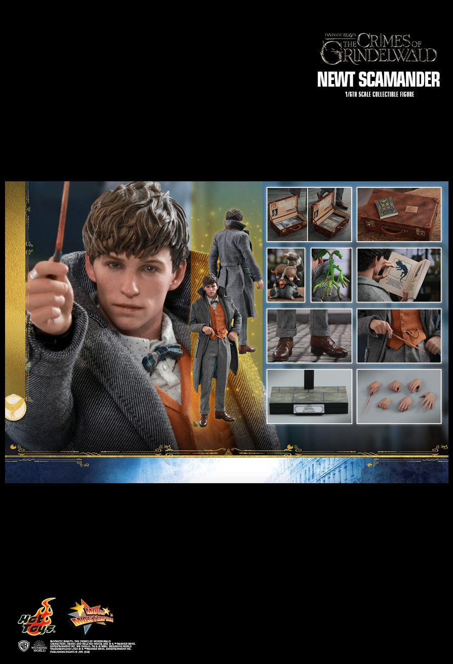 Hot Toys MMS512 - Fantastic Beasts : The Crimes Of Grindelwald - Newt Scamander Standard Version