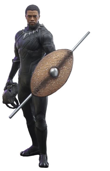 Black Panther Sixth Scale Figure by Hot Toys