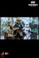 Hot Toys MMS389 - Rogue One : A Star Wars Story - Shoretrooper