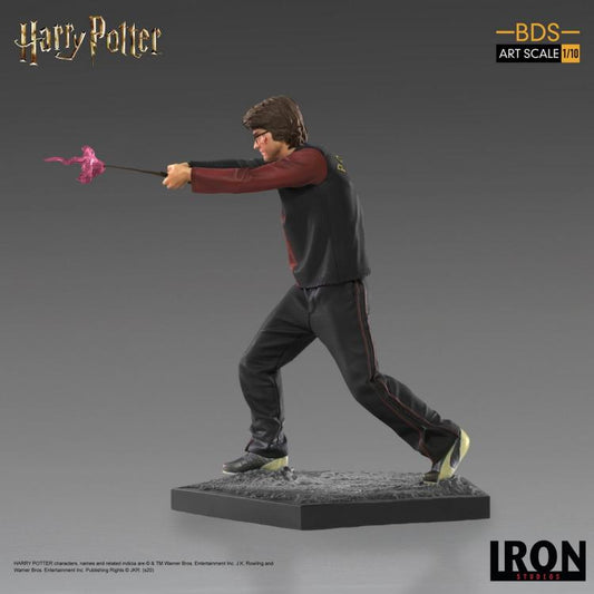 Iron Studios - Harry Potter - Harry Poter