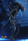 Hot Toys MMS354 - Aliens - Alien Warrior