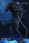 Hot Toys MMS354 - Aliens - Alien Warrior