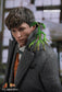 Hot Toys MMS512 - Fantastic Beasts : The Crimes Of Grindelwald - Newt Scamander Standard Version