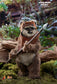 Hot Toys MMS550 - Star Wars : Return Of The Jedi - Wicket