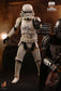 Hot Toys TMS011 - Star Wars - The  Mandalorian - Remnant Stormtrooper