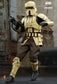 Hot Toys TMS031 - Star Wars : The Mandalorian - Shoretrooper