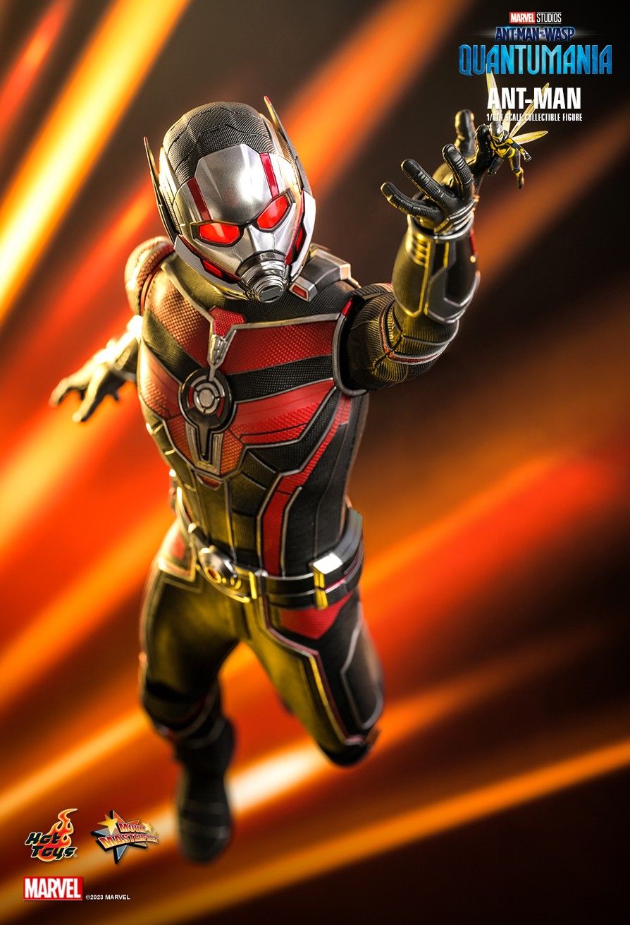 Hot Toys MMS690 - Marvel Comics - Ant Man & The Wasp : Quantumania - Ant Man【Pre-Order】