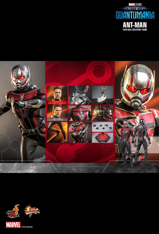 Hot Toys MMS690 - Marvel Comics - Ant Man & The Wasp : Quantumania - Ant Man【Pre-Order】